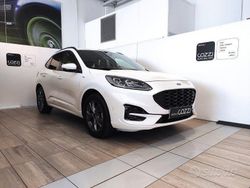 Bianco Usata 2023 Ford Kuga ST SUV | 21.900 € (Ottimo prezzo)