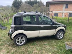 Verde Usata 2006 Fiat Panda Cross Cross Due volumi | 5500 €