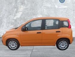 Arancione Usata 2021 Fiat Panda S Due volumi | 9500 € (Buon prezzo)