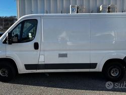 Bianco Usata 2008 Fiat Ducato Furgone | 5500 € (Buon prezzo)