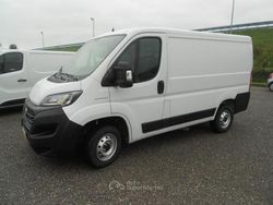Bianco pastello Usata 2020 Fiat Ducato Furgone | 11.800 € (Buon prezzo)