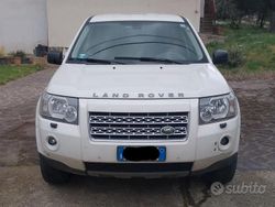 Bianco Usata 2009 Land Rover Freelander 2 SUV | 4000 €
