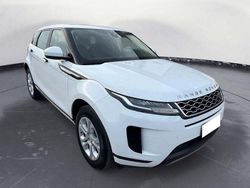 Bianco Usata 2020 Land Rover Range Rover evoque S SUV | 25.600 € (Super prezzo)