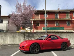 Rosso Usata 1992 Mazda RX7 Due volumi | 38.000 €