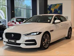 Usata 2023 Jaguar XE R-Dynamic Tre volumi | 34.999 € (Molto cara)
