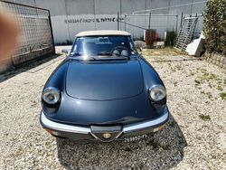 Nero Usata 1982 Alfa Romeo Spider Cabrio | 18.500 €