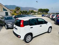 Bianco Usata 2019 Fiat Panda Easy Due volumi | 9500 € (Buon prezzo)
