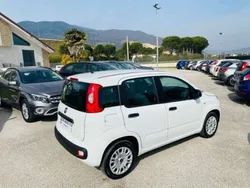 Bianco Usata 2019 Fiat Panda Easy Due volumi | 9000 € (Buon prezzo)