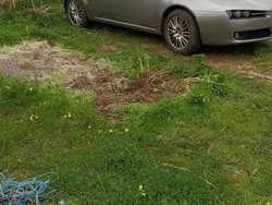 Usata 2005 Alfa Romeo 159 Tre volumi | 4000 € (Cara)