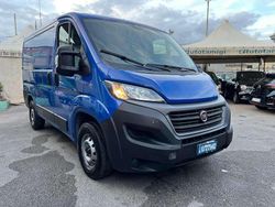 Blu/azzurro Usata 2020 Fiat Ducato Furgone | 11.990 € (Super prezzo)