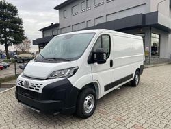 Bianco Nuova 2025 Fiat Ducato Furgone | 24.900 € (Ottimo prezzo)