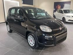 Nero Usata 2024 Fiat Panda Due volumi | 10.850 € (Ottimo prezzo)