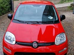 Rosso Usata 2019 Fiat Panda Easy Due volumi | 9500 € (Buon prezzo)