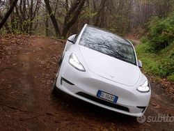 Bianco Usata 2023 Tesla Model Y RWD SUV | 31.000 € (Buon prezzo)