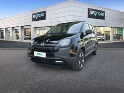 Nero Usata 2022 Fiat Panda Cross Cross Due volumi | 12.500 € (Buon prezzo)