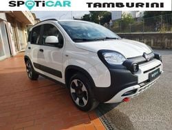 Bianco Usata 2024 Fiat Panda Cross Cross Due volumi | 12.500 € (Buon prezzo)
