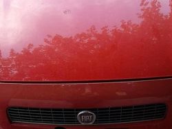 Usata 2008 Fiat Punto Due volumi | 2000 € (Ottimo prezzo)