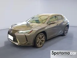 Grigio Usata 2020 Lexus UX SUV | 20.500 € (Ottimo prezzo)