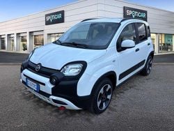 Bianco Usata 2024 Fiat Panda Cross Cross Due volumi | 14.550 € (Buon prezzo)