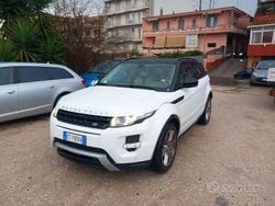 Bianco Usata 2014 Land Rover Range Rover evoque Pure SUV | 7500 € (Ottimo prezzo)