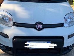 Bianco Usata 2021 Fiat Panda Due volumi | 10.000 € (Buon prezzo)