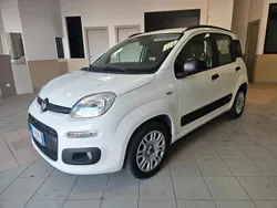 Bianco Usata 2017 Fiat Panda Easy Due volumi | 8600 € (Buon prezzo)