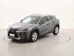 Grigio Usata 2021 Lexus UX 250h Business Edition SUV | 15.990 € (Super prezzo)