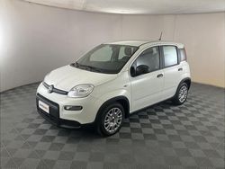 Bianco Nuova 2024 Fiat Panda Due volumi | 13.699 € (Buon prezzo)