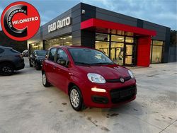 Rosso Nuova 2025 Fiat Panda Tre volumi | 14.800 €