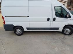 Bianco Usata 2019 Fiat Ducato 33 Furgone | 12.790 € (Ottimo prezzo)