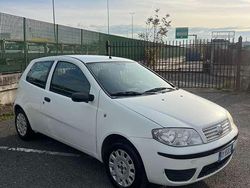 Usata 2009 Fiat Punto Active Tre volumi | 2500 € (Buon prezzo)