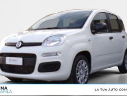 Bianco Nuova 2025 Fiat Panda Due volumi | 14.000 € (Buon prezzo)