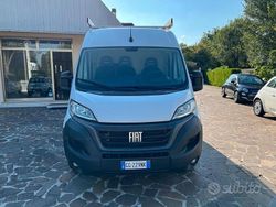 Bianco Usata 2021 Fiat Ducato Furgone | 17.600 € (Ottimo prezzo)