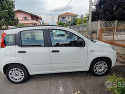 Bianco Usata 2014 Fiat Panda Due volumi | 7800 € (Molto cara)