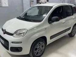 Bianco Usata 2015 Fiat Panda Cross Cross Due volumi | 7800 € (Super prezzo)