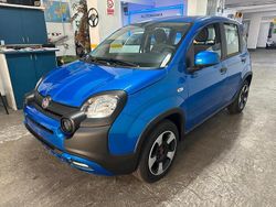 Blu Usata 2023 Fiat Panda Cross Cross Due volumi | 15.800 € (Cara)