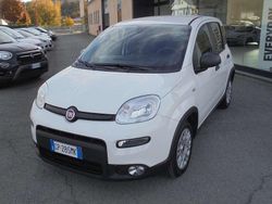 Bianco Usata 2023 Fiat Panda Due volumi | 7300 € (Super prezzo)