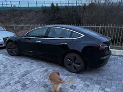 Usata 2020 Tesla Model 3 Standard Range Tre volumi | 20.000 € (Buon prezzo)