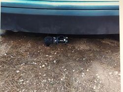 Grigio Usata 2004 Fiat Stilo Monovolume | 500 €