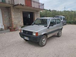 Grigio Usata 2002 Fiat Panda 4x4 Trekking Due volumi | 8500 € (Molto cara)