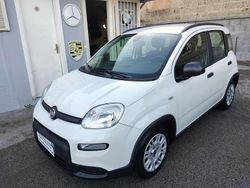 Bianco Usata 2023 Fiat Panda Due volumi | 10.500 € (Ottimo prezzo)