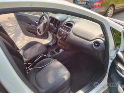 Bianco Usata 2014 Fiat Punto Street Due volumi | 5000 € (Cara)