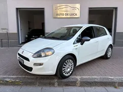 Bianco Usata 2016 Fiat Punto Young Due volumi | 4499 € (Super prezzo)