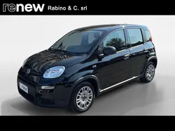 Nero Usata 2023 Fiat Panda City Life Due volumi | 11.900 € (Buon prezzo)