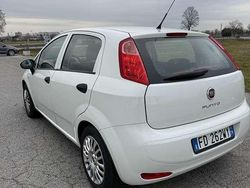 Usata 2015 Fiat Punto Lounge Tre volumi | 5500 € (Ottimo prezzo)