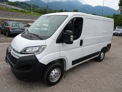 Bianco Usata 2022 Citroën Jumper Monovolume | 14.900 € (Ottimo prezzo)