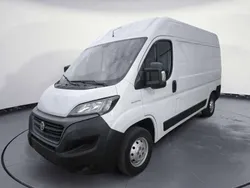 Bianco Usata 2020 Fiat Ducato Furgone | 12.213 € (Ottimo prezzo)