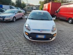 Bianco Usata 2011 Fiat Punto Evo Due volumi | 2900 €