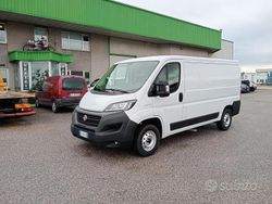 Bianco Usata 2020 Fiat Ducato 33 Furgone | 14.700 € (Buon prezzo)