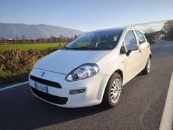 Bianco Usata 2016 Fiat Punto Evo Lounge Due volumi | 8800 € (Molto cara)